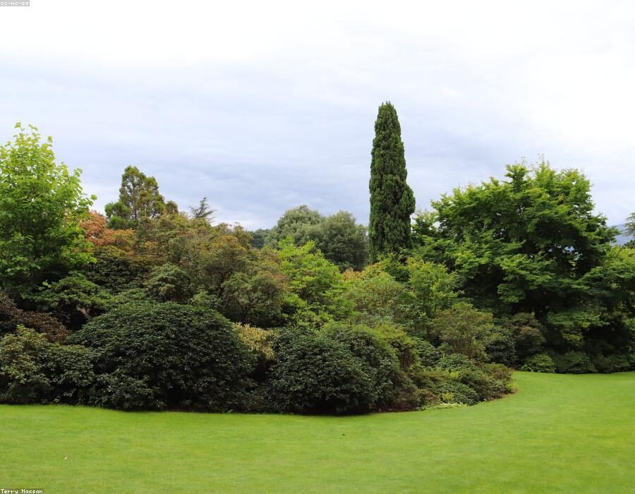 Fresh Garden 3